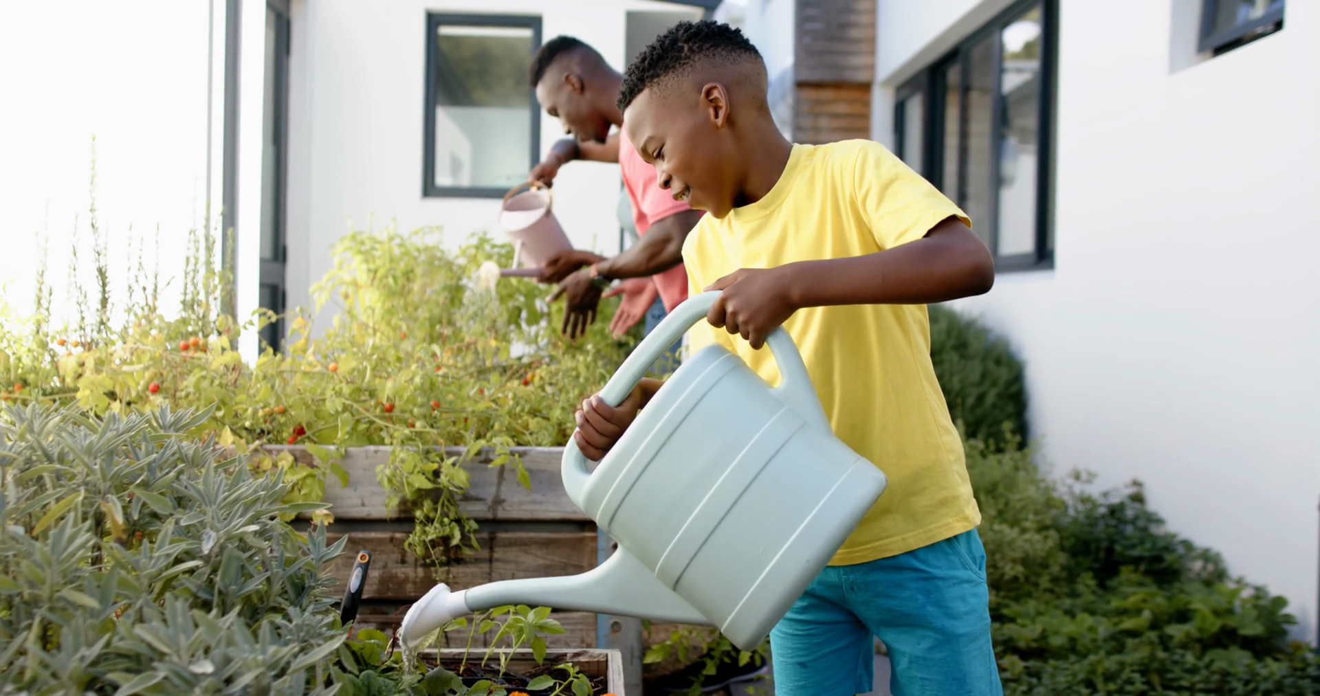 African American Father Son Watering Plants Stock Footage SBV-352106065 ...