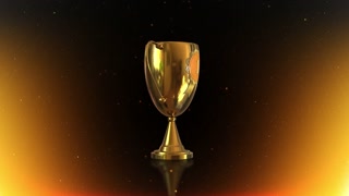 First place 3 D Trophy Gold Award