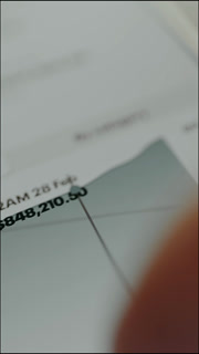 Area chart displays the financial value and a timestamp