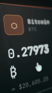 Cryptocurrency balance for Bitcoin Asset