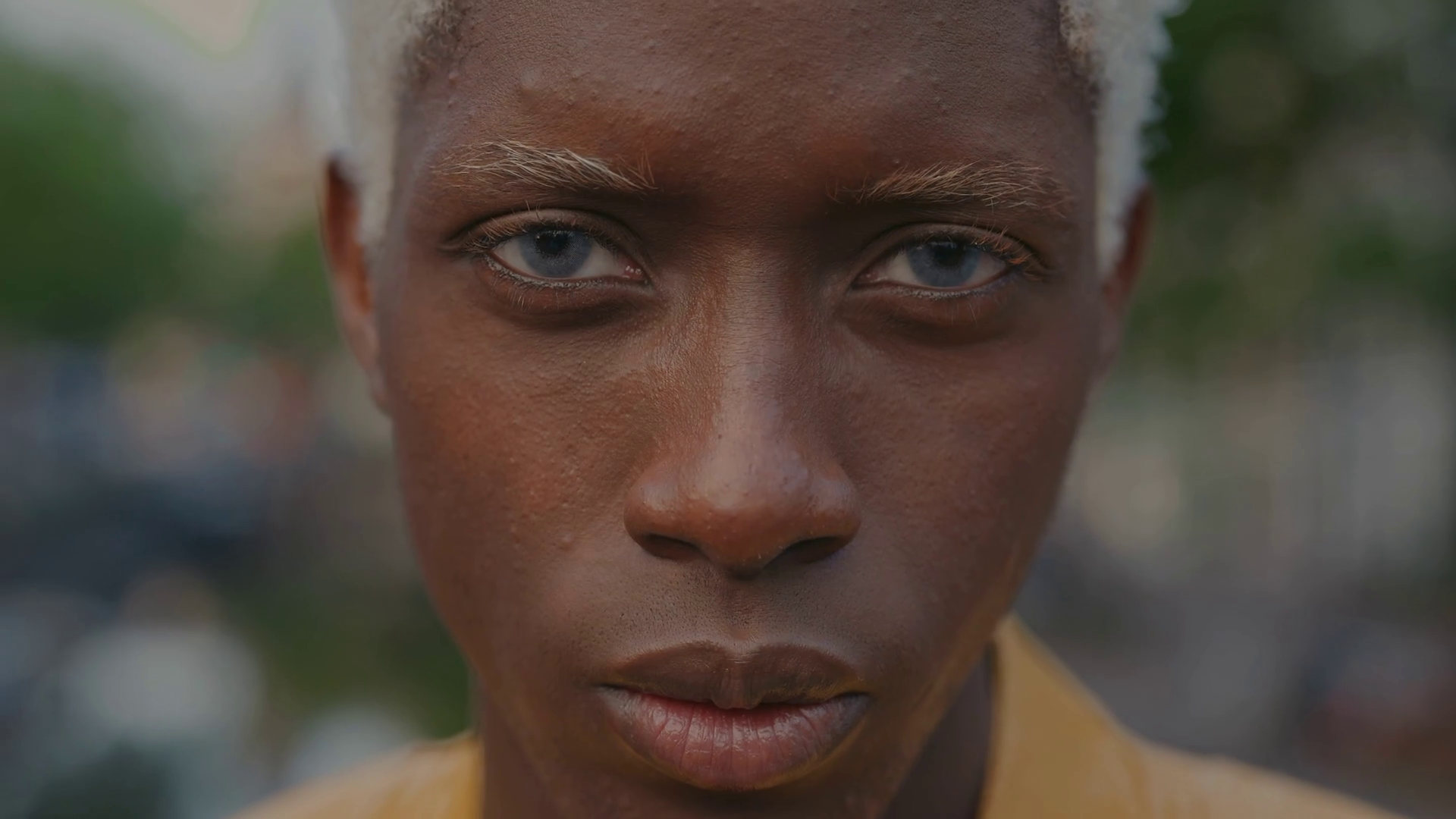 Portrait Of Young Black Boy With White Dyed Stock Footage SBV 347168851  portrait-of-young-black-boy-with-white-dyed-stock-footage-sbv-347168851