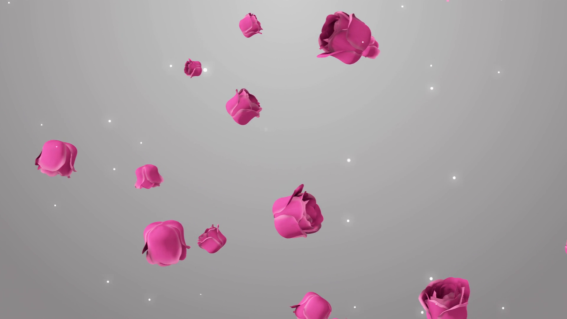 Animation Of Pink Roses On Beautiful Stock Motion Graphics SBV ...