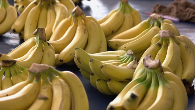 Porno rus tilida nola va creaks