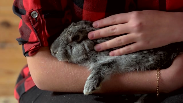 Fondle Stock Footage: Royalty-Free Video Clips - Storyblocks