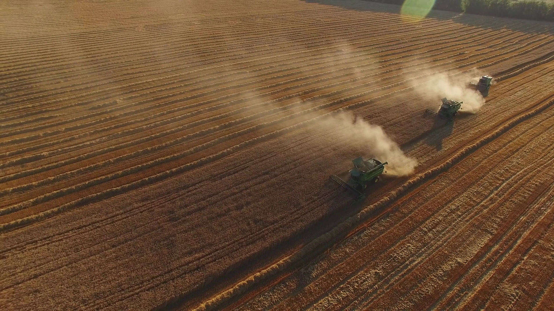 Combines moving on the field. Harvesters raise dust. Labor is engine of