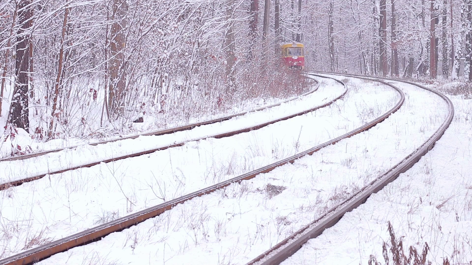 Railway in the forest. Public transport. Retro tram in winter. Train