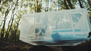 Woman forensic police investigator putting a skull in the evidence box at a crime scene in the woods