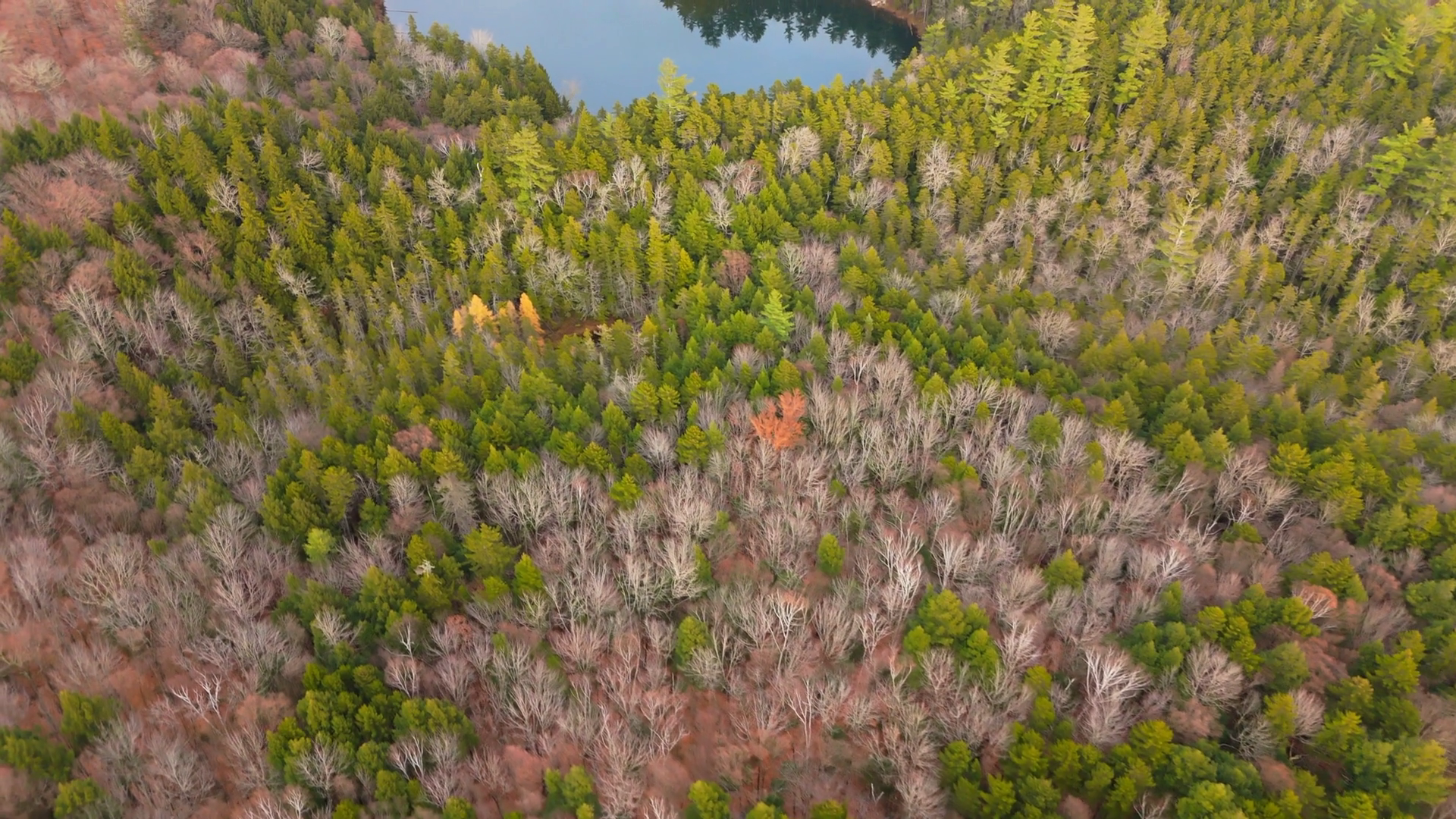 A Stunning Aerial View Of Beautiful Fall Stock Footage SBV-352027115 ...