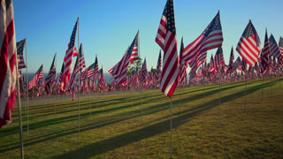 USA Flag September 11 Memorial Tribute with Hundreds of Flags on Green Lawn.