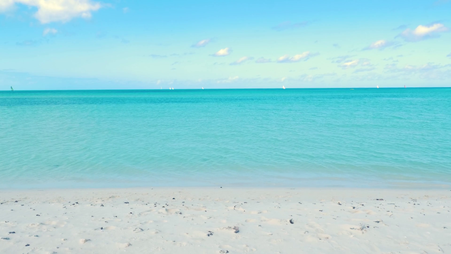 Scenic Caribbean Beach On Sunny Afternoon Stock Footage SBV312392737