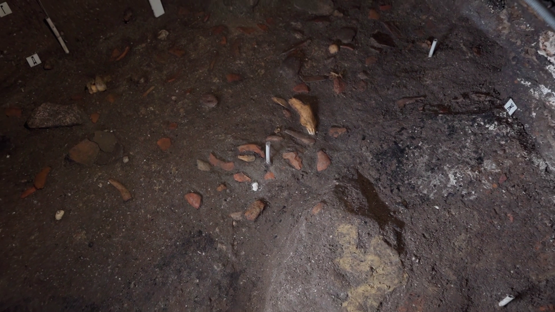 Artifacts Discovered At Excavation Site Of Stock Footage SBV-352788728 ...