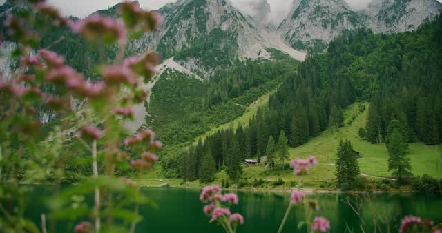 Inspiring Nature Stock Footage: Royalty-Free Video Clips - Storyblocks