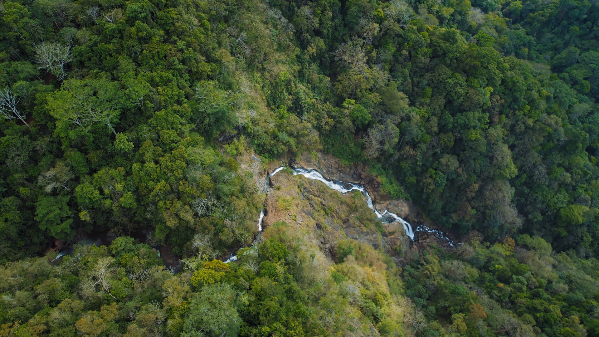 Long Narrow Waterfall Flows Through Forested Stock Footage SBV ...