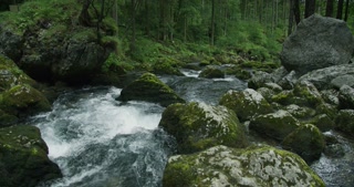 Mountain creek with crystal clear water flows in coniferous forest. Fast flowing river.
