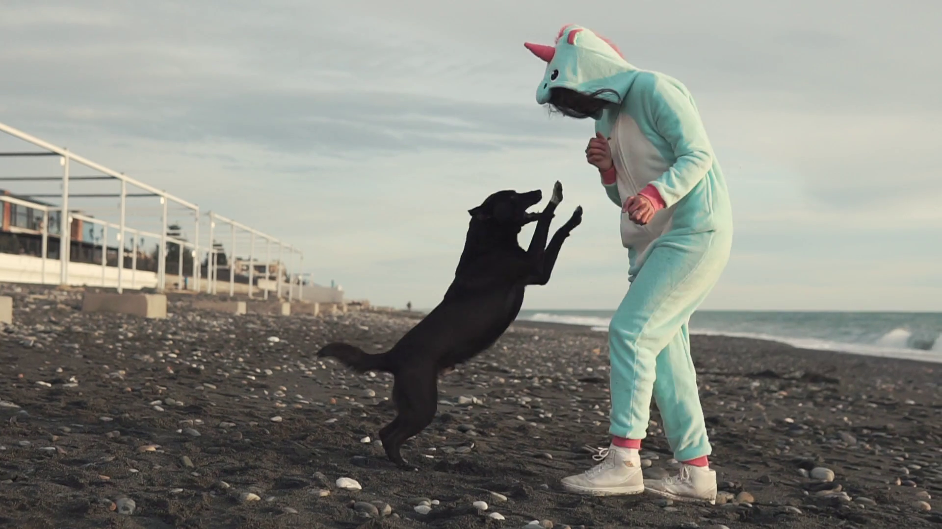 cheerful and funny lady in a kigurumi costume plays with a playful dog by the sea, a woman and her domestic pet jumping and laughing on a rocky beach on a sunny