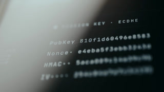 ECDHE session key panel with rapidly cycling hex data