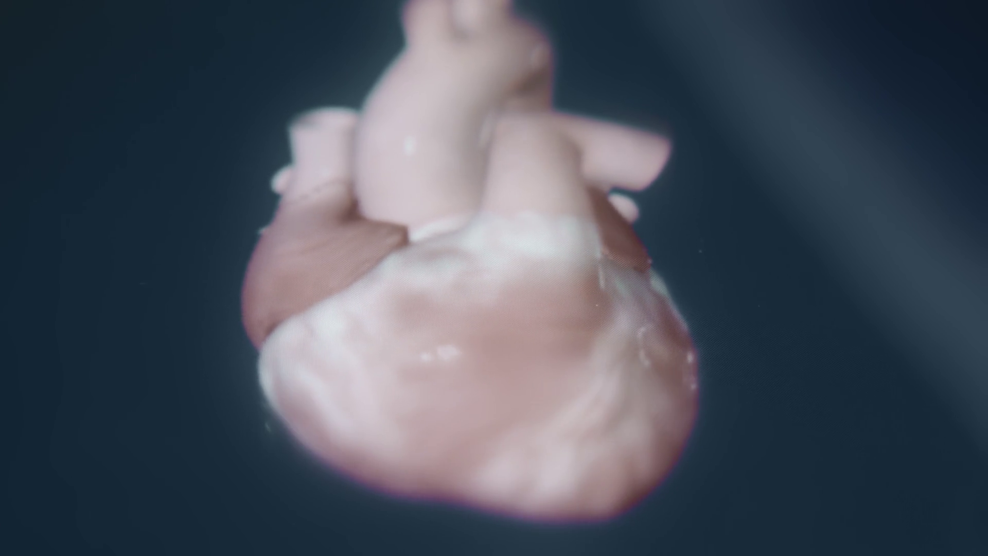 View Of Human Heart Beating Stock Footage SBV-352524570 - Storyblocks
