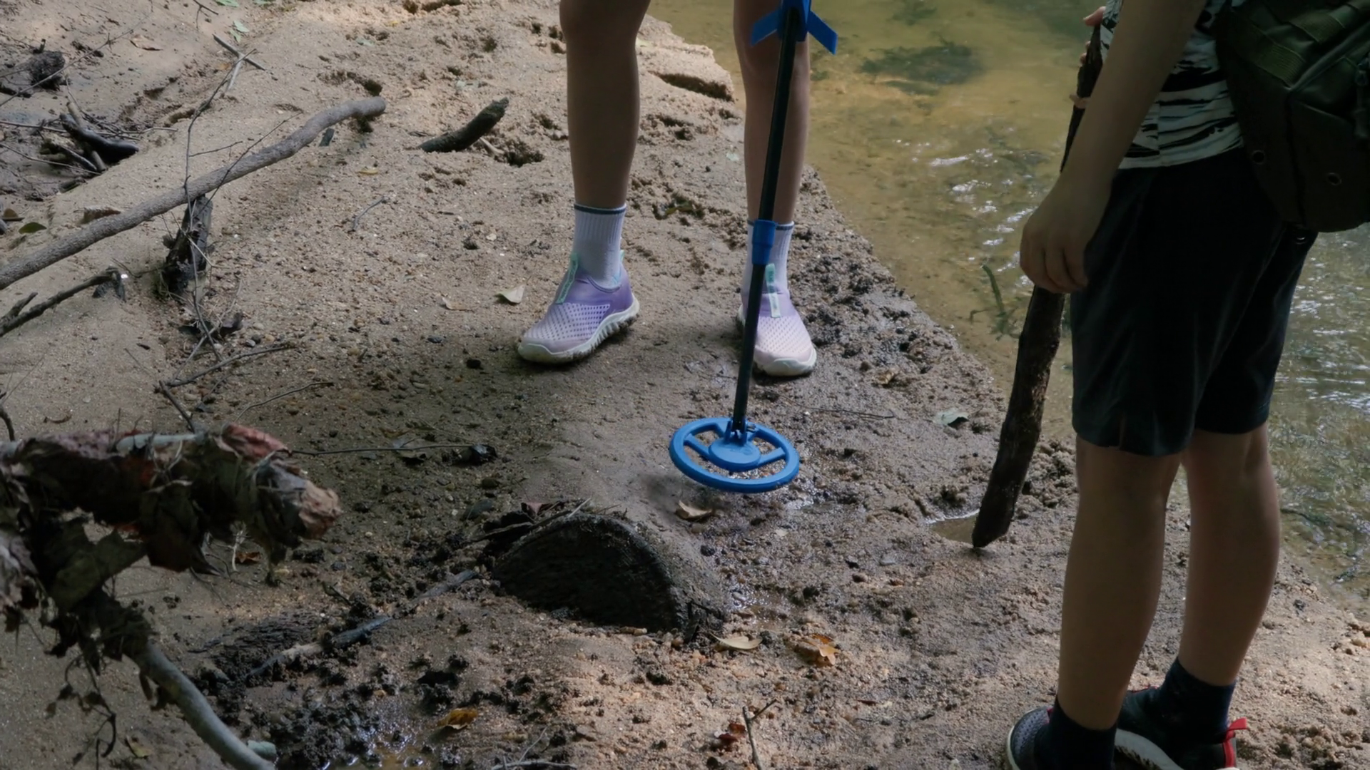 Person Looking Treasure With Metal Detector Stock Footage SBV-352883804 ...