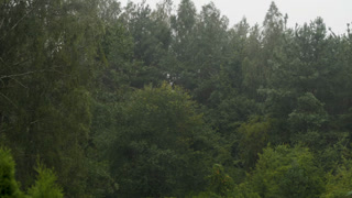 Climate Change Hurricane Outside, Heavy Rain With Wind, Thunderstorm. Scary Typhoon Storm and Hail. High Winds and Rain Blow Trees in Tropical Storm. Global Warming Climate Change Extreme Weather.
