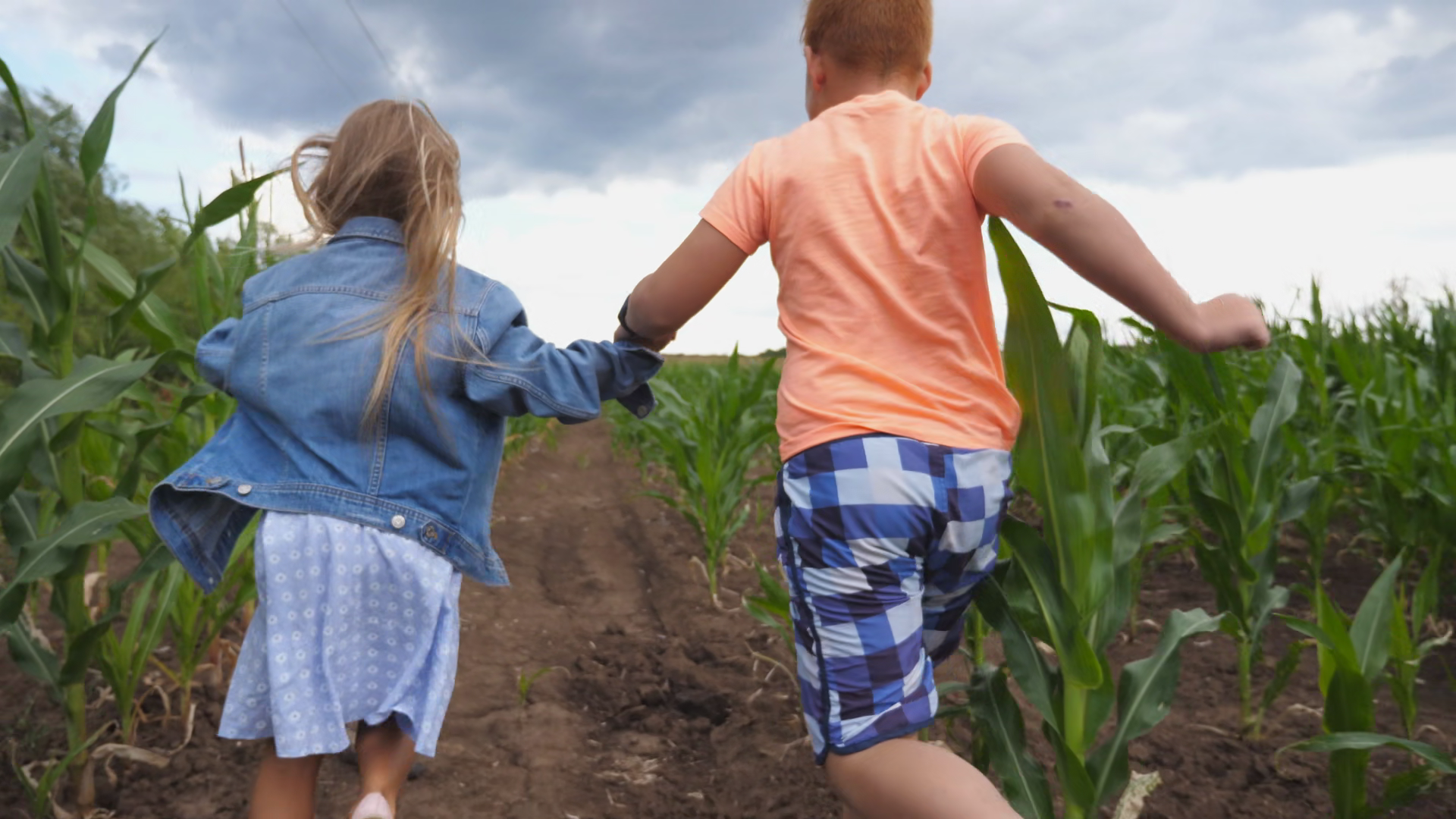 Little Girl Boy Holding Hands Of Having Fun Stock Footage SBV-353975962 ...