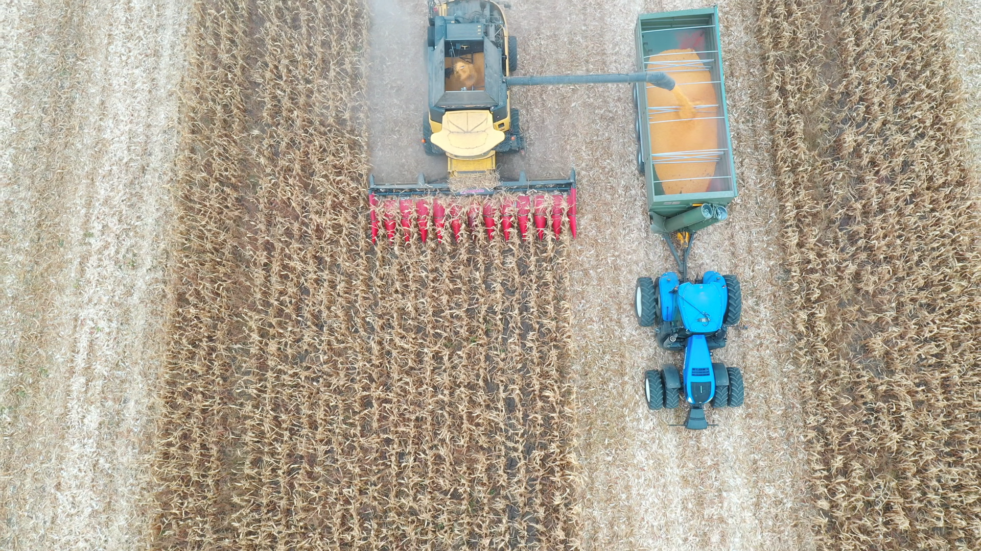 Aerial Shot Of Combine Loading Off Corn Stock Footage SBV-353573170 ...
