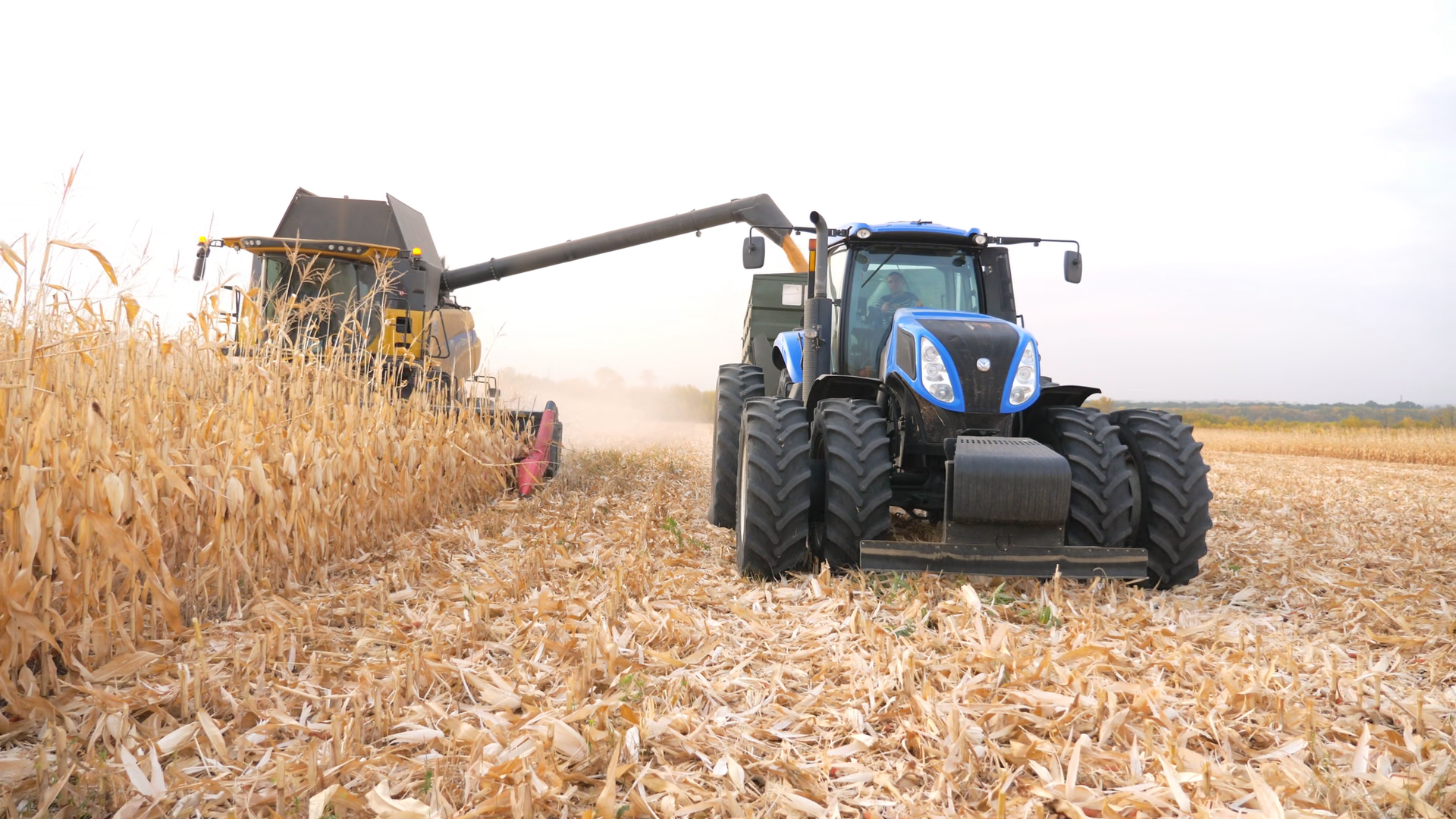 Front View Of Combine Loading Off Corn Stock Footage SBV-353575267 ...