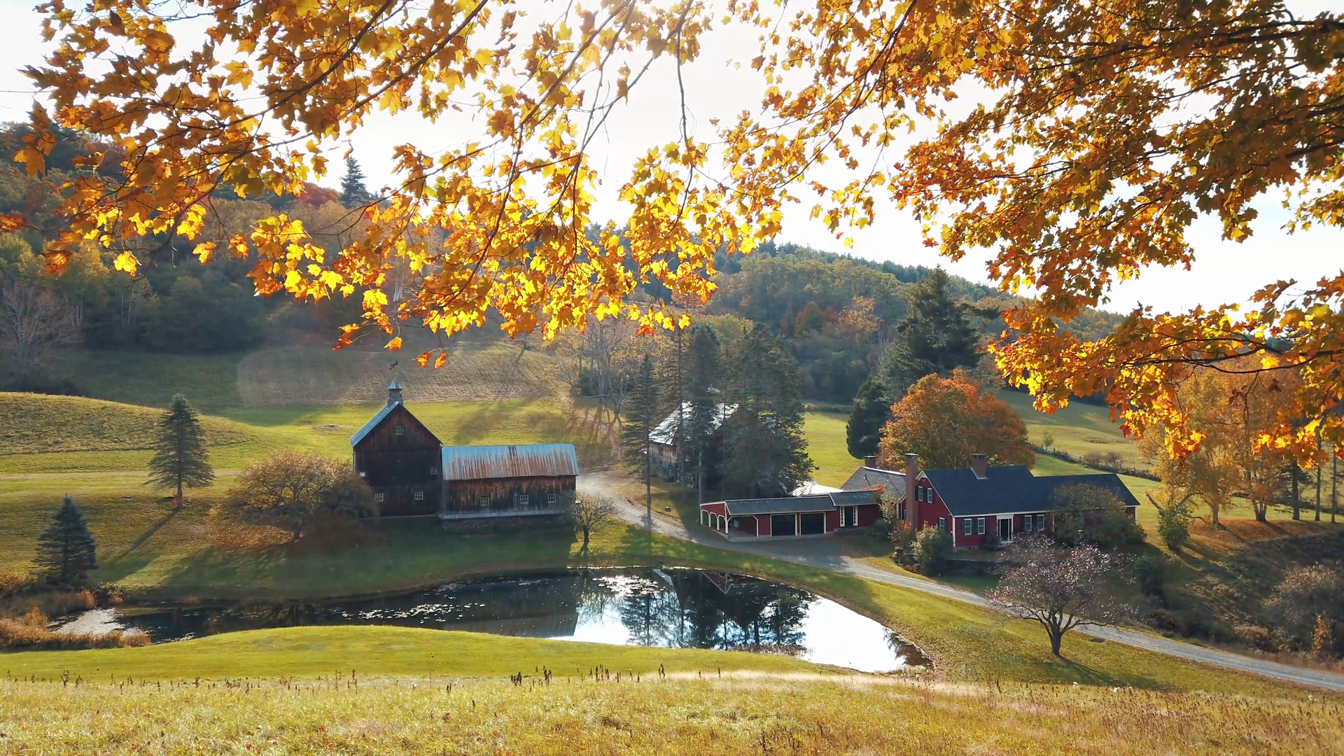 Farm House With Autumn Foliage In Vermont Stock Footage SBV-352752864 ...