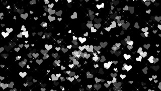 White Heart Particles Valentines Day Video Animated Background