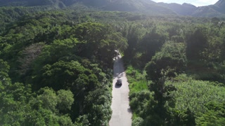 Roadway for transport with driving car among jungle area