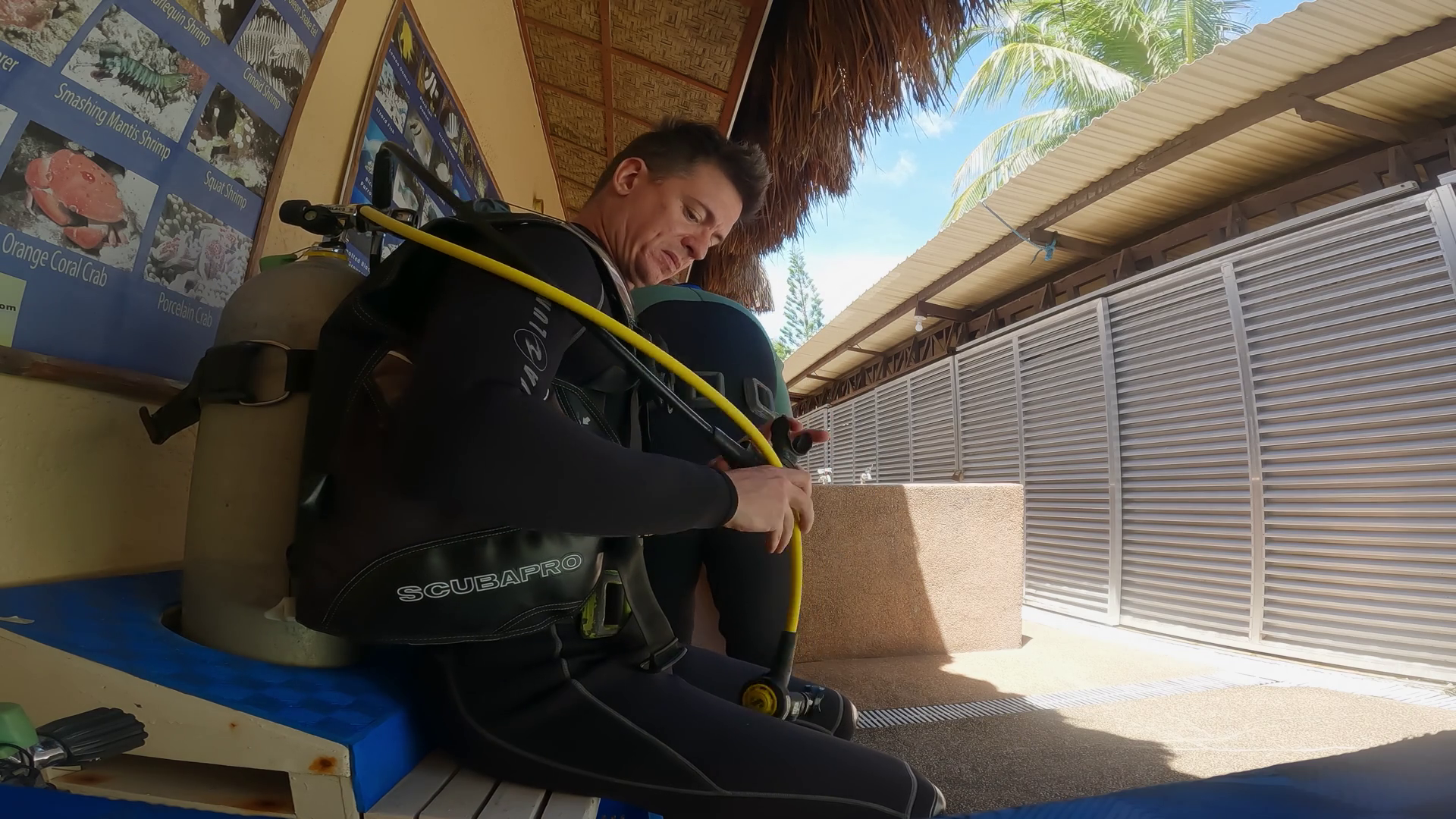 Man Diver Sits On Wooden Bench Checks Diving Stock Footage SBV ...