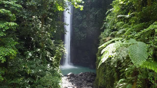 Water Falls | Animals stock footage - Storyblocks