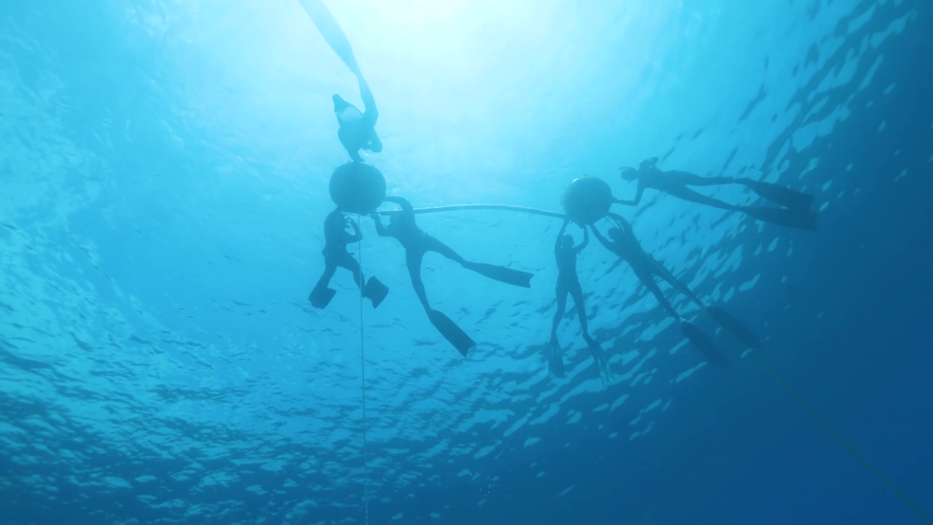 Group Of Divers In Flippers Rest Holding Stock Footage SBV348411794