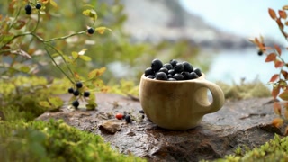 Traditional Finnish wooden cup kuksa filled with blueberries, against the backdrop of the Scandinavian landscape in early autumn. Berry