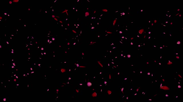 Rose Green Screen Stock Footage: Royalty-Free Video Clips - Storyblocks