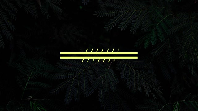 Alpha Templates Royalty-Free - Storyblocks