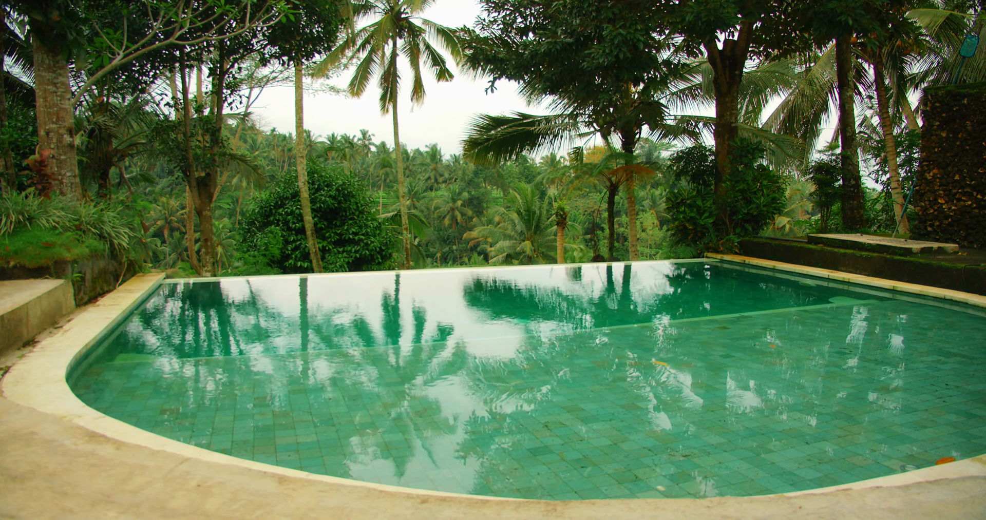Infinity Pool Overlooks Tropical Forest With Stock Footage SBV ...