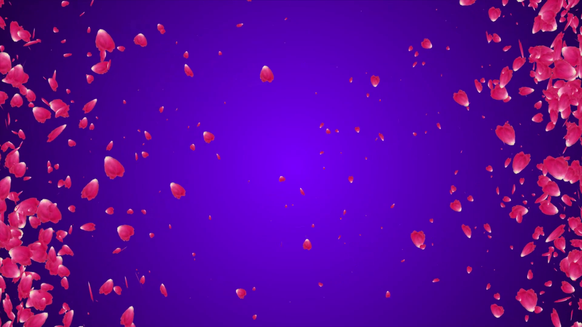Rose Petals Fall Video Motion Graphics Animation Background Loop HDRose ...