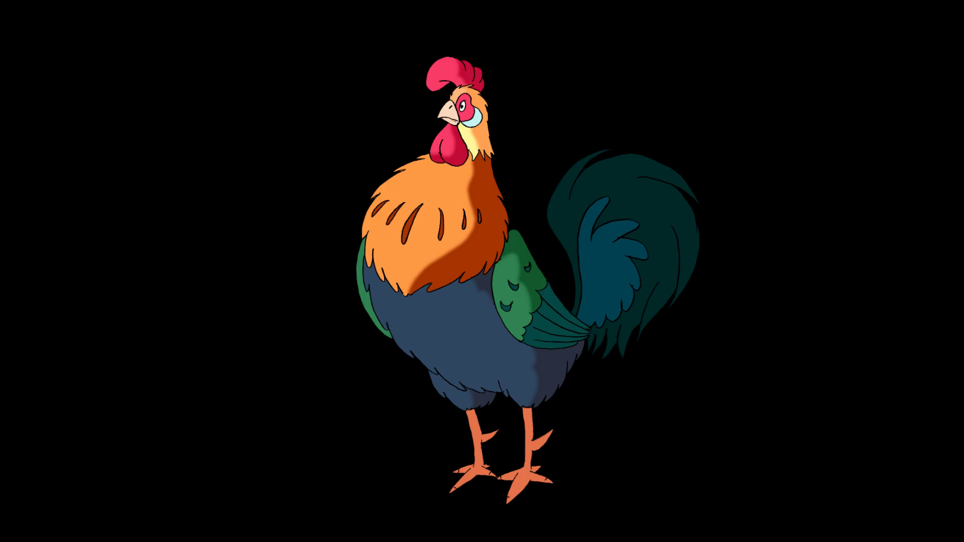 Colorful Rooster Crows Classic Handmade Stock Motion Graphics SBV ...