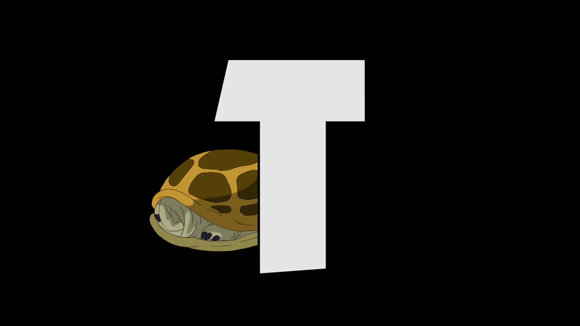 Letter T Turtle (background) Stock Motion Graphics SBV-306722345 ...