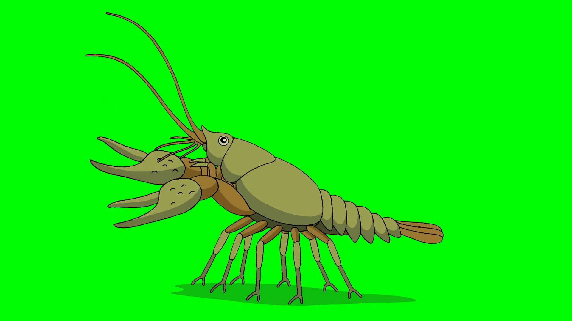 Crayfish 4k Chroma Key Animation Stock Motion Graphics SBV-348793438 ...