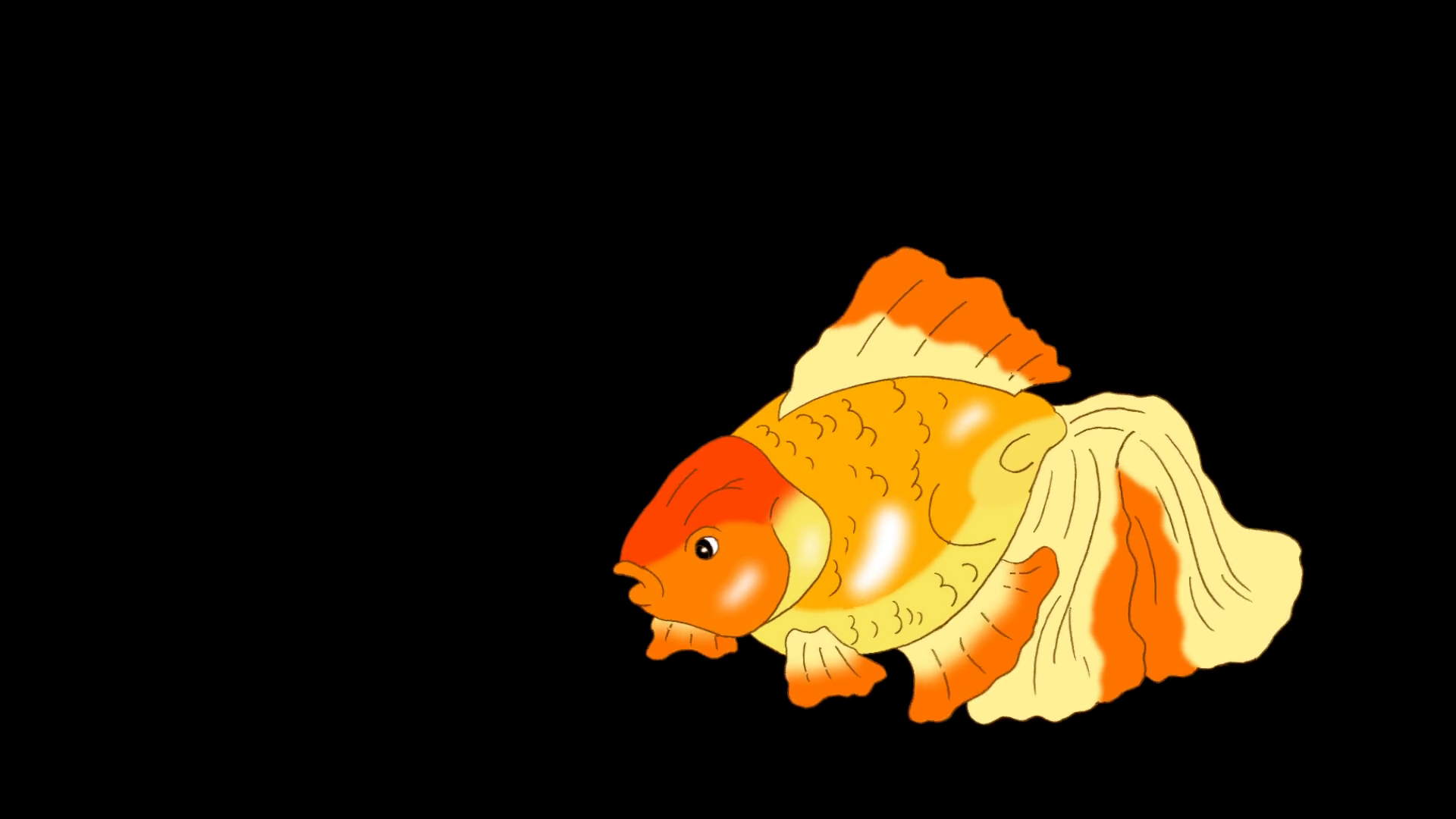 Goldfish Floating in Aquarium Alpha Matte Motion Background Storyblocks