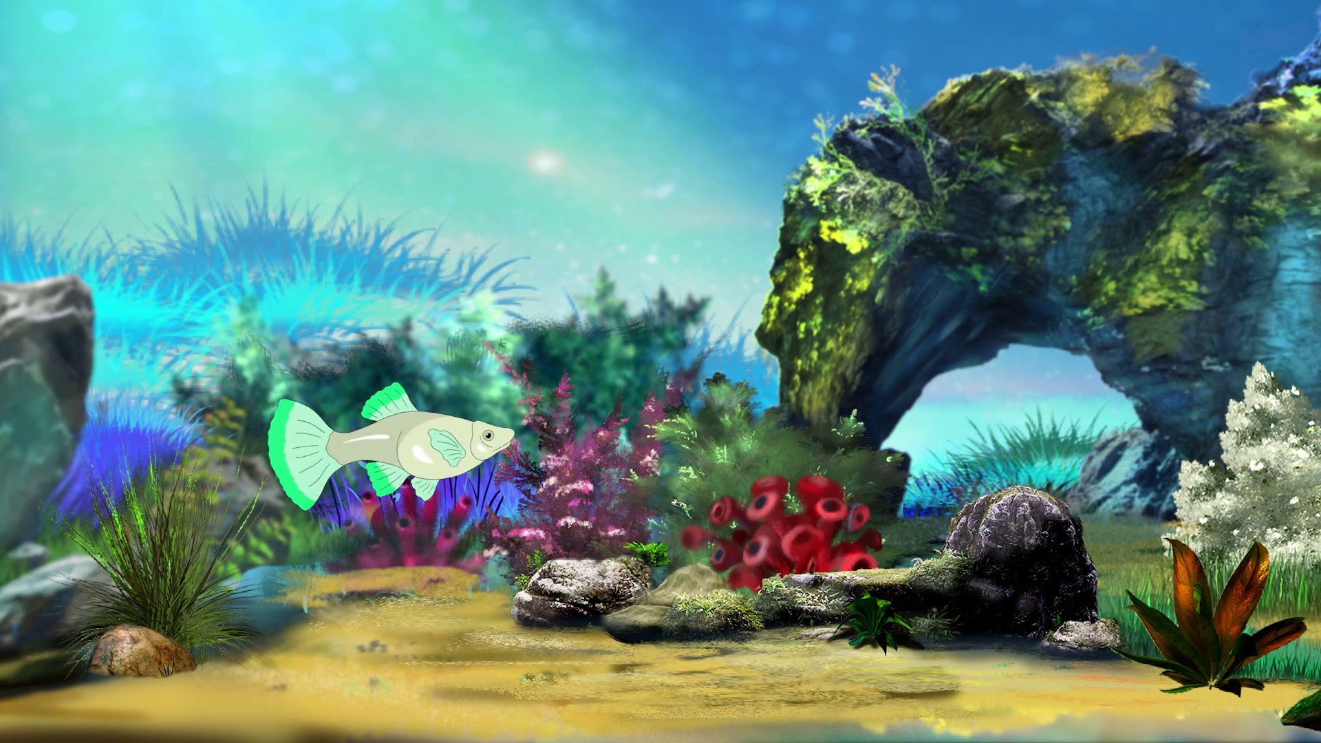 Green Guppy Aquarium Fish Motion Background Storyblocks