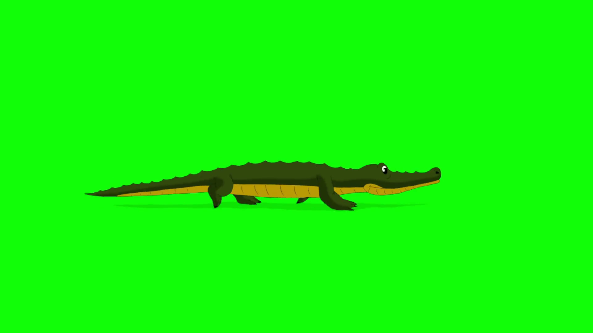 Little Crocodile Runs Chroma Motion Background Storyblocks