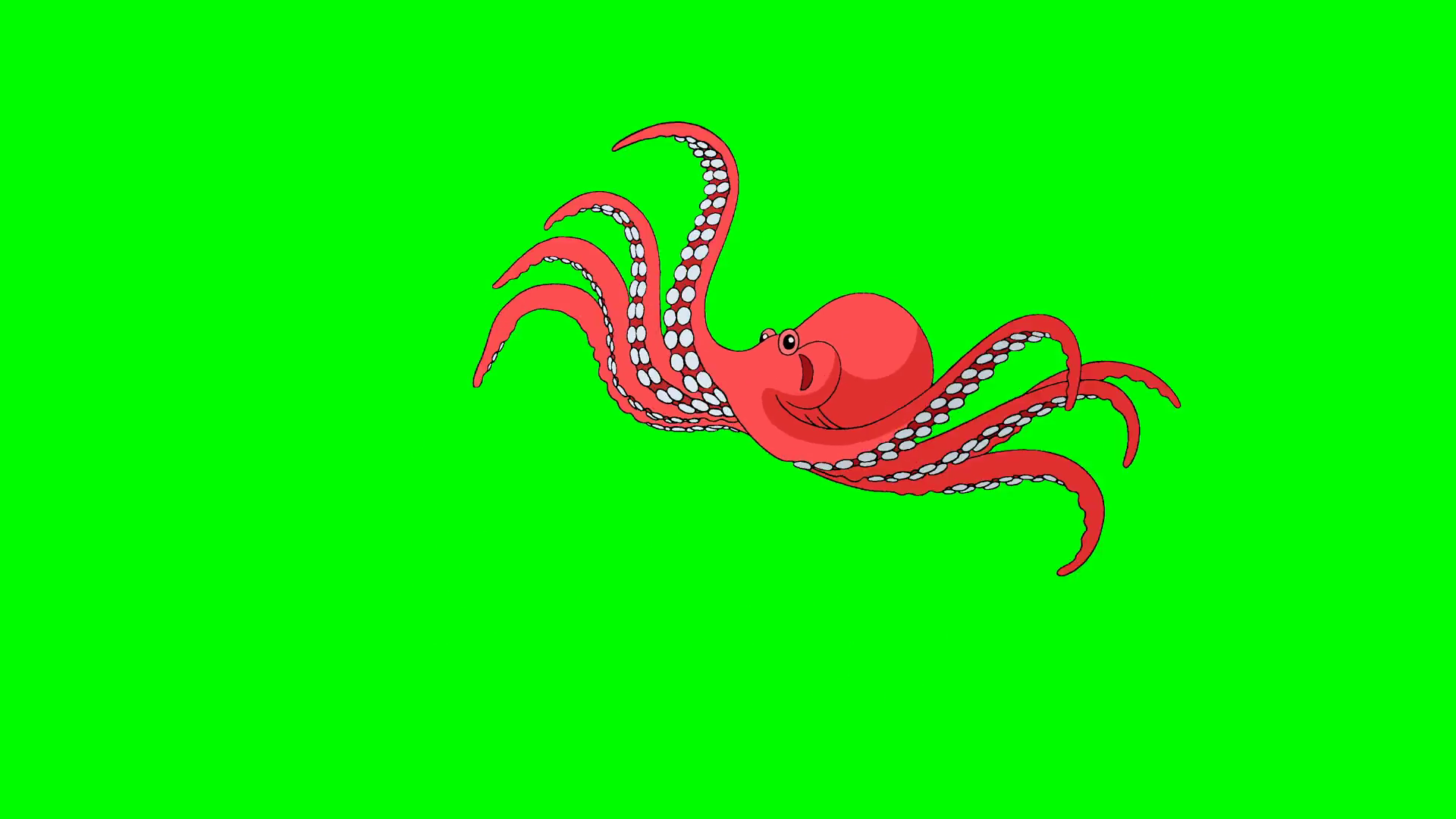 Octopus Swims Underwater Chroma Key Stock Motion Graphics SBV-348906261 ...