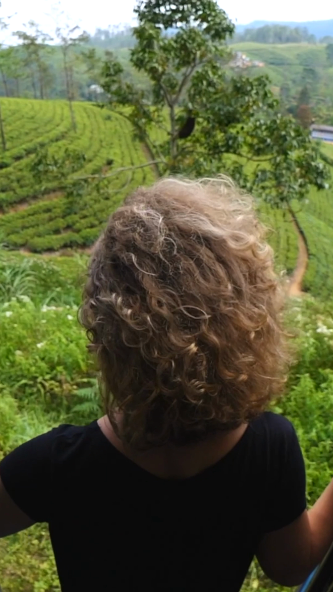 Back View Of Young Woman With Curly Hair Stock Footage SBV-353169852 ...