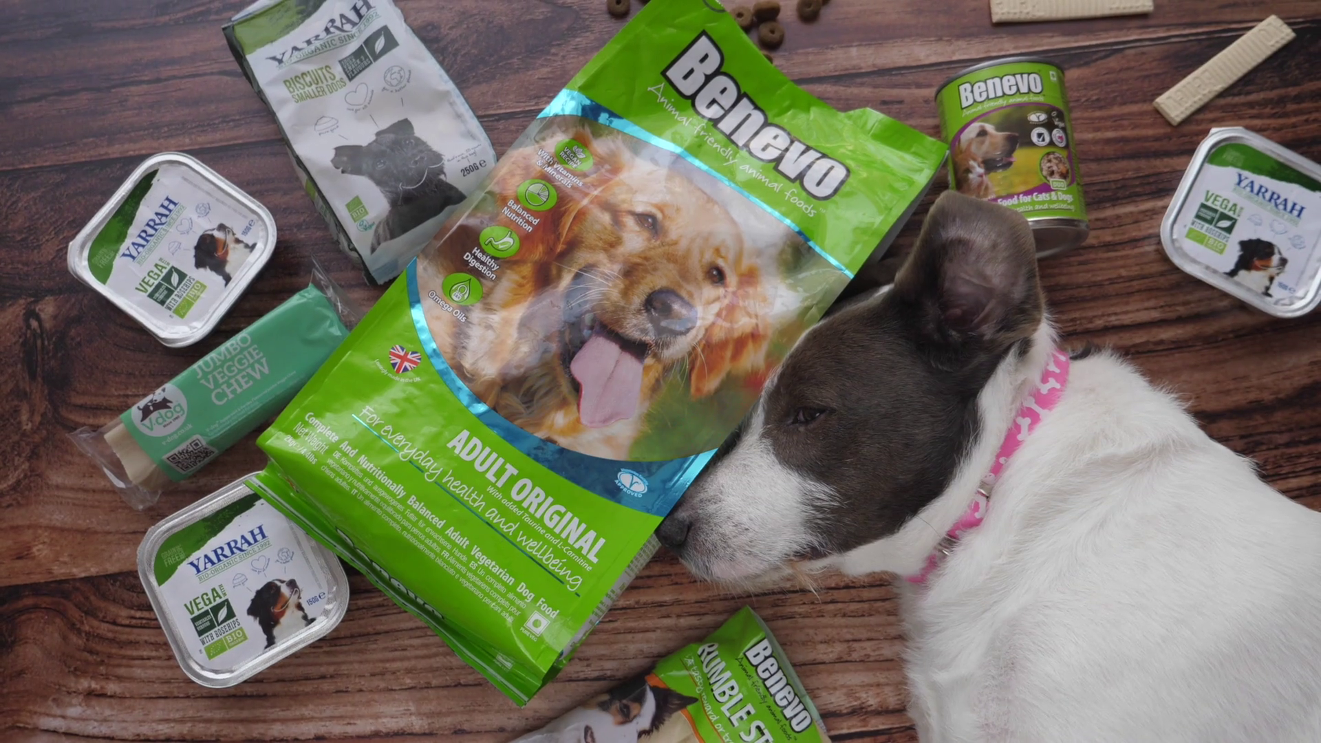 benevo organic dog food