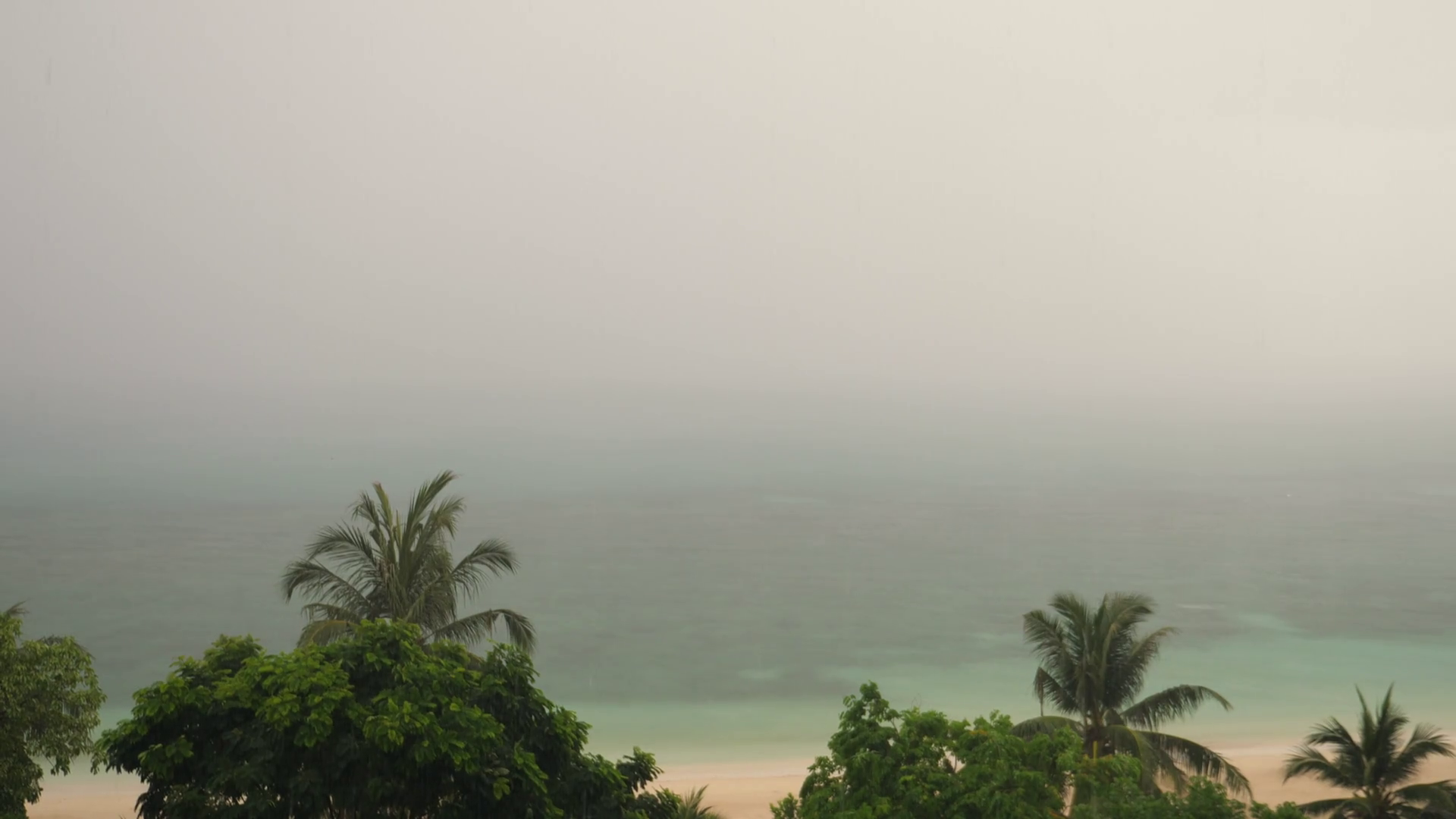 Heavy Rain On Tropical Island Raining Over The Sea And Palm Trees Stock Video Footage 0010 SBV