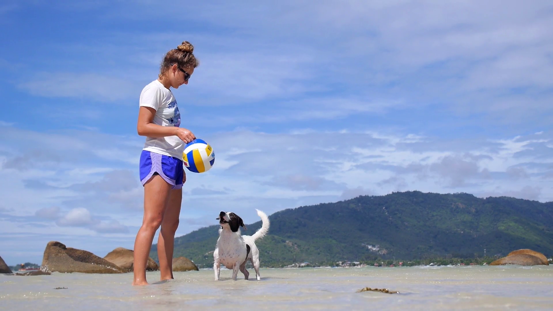 Woman Throwing Ball To Puppy Dog In Sea At Stock Footage SBV304571705