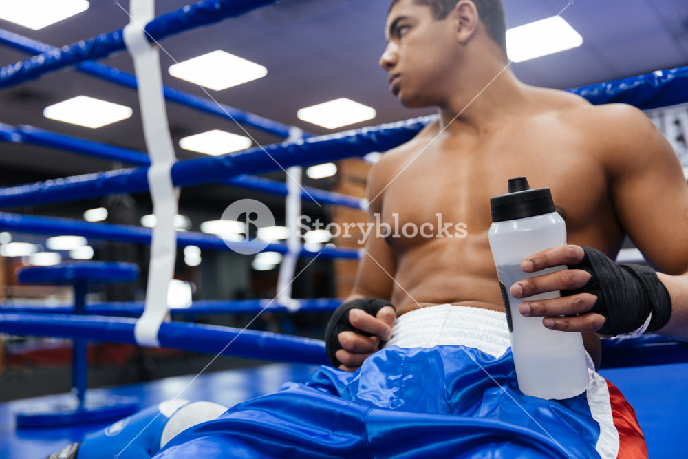 Boxer drinking water RoyaltyFree Stock Image Storyblocks