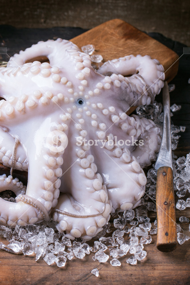 Octopus On Ice RoyaltyFree Stock Image Storyblocks